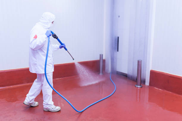  Bartow, FL Pressure Washing Pros